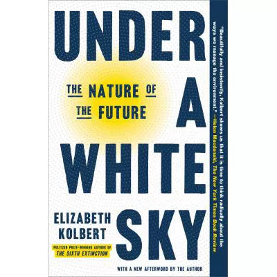 Under a White Sky