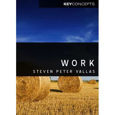 Work - A Critique