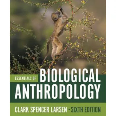 Essen of Biological Anthropology w/Norton Illumine Ebook, InQuizitive, Anthropology in 3D, &amp; Videos &amp; Animations
